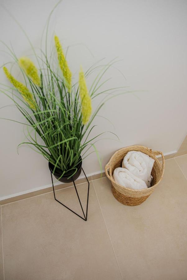 Modern Apartment In Temeşvar Dış mekan fotoğraf