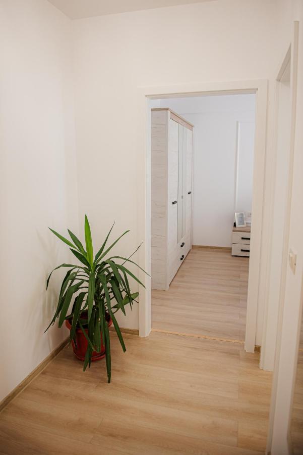 Modern Apartment In Temeşvar Dış mekan fotoğraf