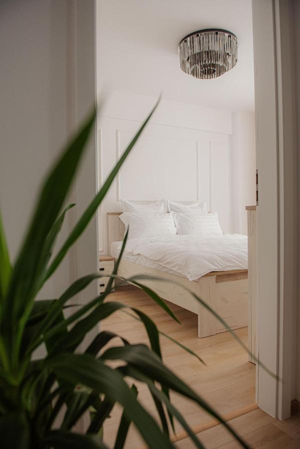 Modern Apartment In Temeşvar Dış mekan fotoğraf